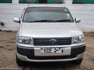 Toyota Probox 2009 Silver