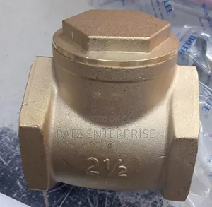Non Return Valve