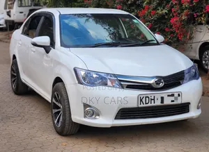 Toyota Axio 2015 Silver