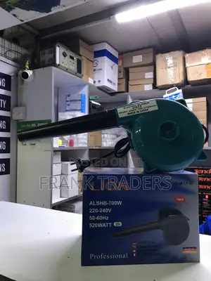 LION Electric Blower
