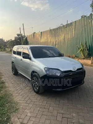 Toyota Probox 2015 Silver