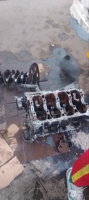 Professional Mechanic