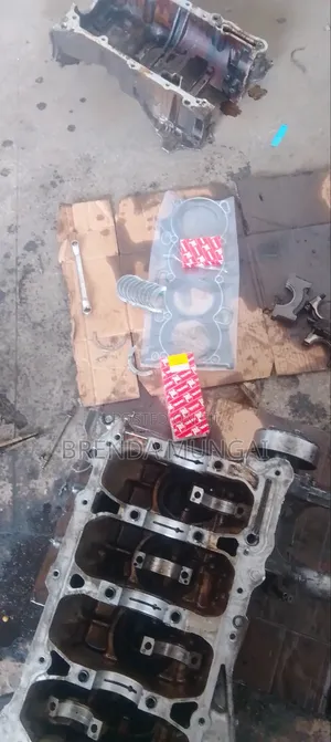 Professional Mechanic