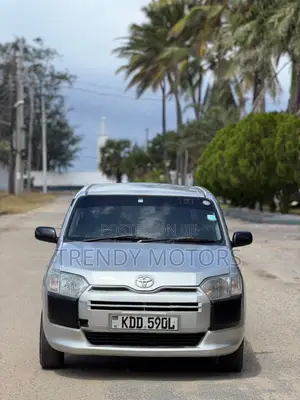Toyota Probox 2015 Silver