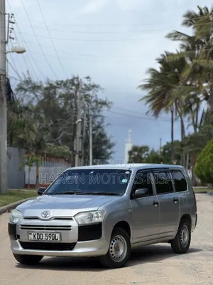 Toyota Probox 2015 Silver