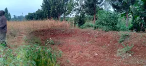 3-Acre Agricultural Land for Lease in Kirinyaga Kimbimbi Riagicheru