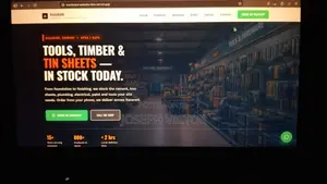 Professional Business Website Design | Affordable Websites