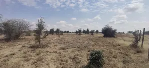 Prime 10 Acres Land in Kitengela, Kisaju Along Namanga Road for Sale