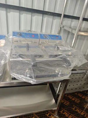 Caterina Electric Deep Fryer for Sale. Commercial Grade Fryer