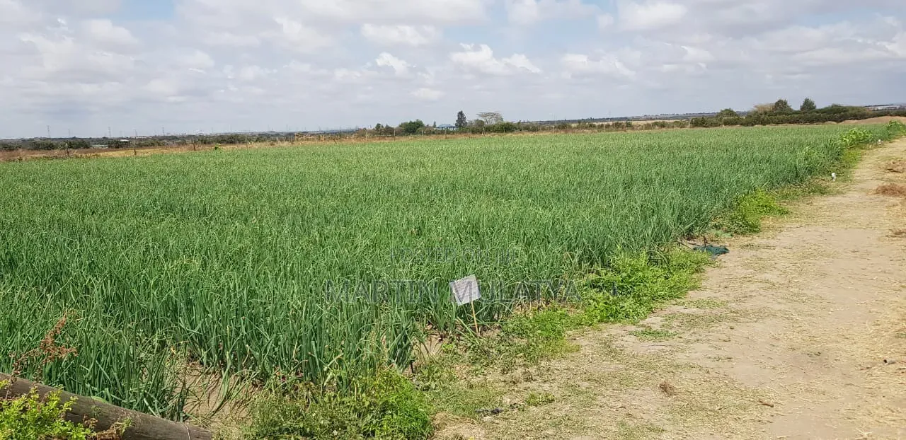 Land for Sell