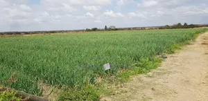 Land for Sell