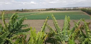 Land for Sell