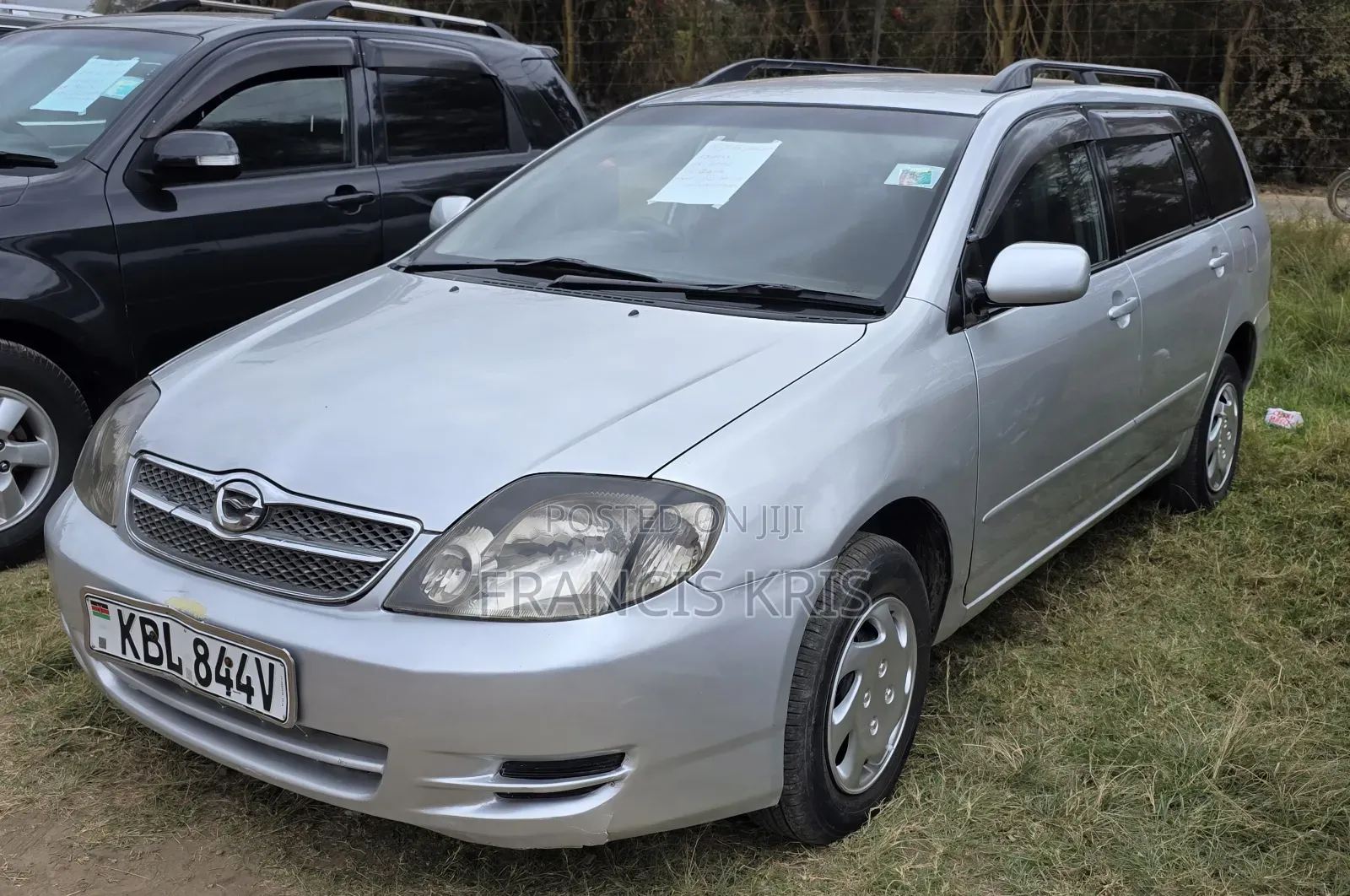 Toyota Corolla Fielder 2004 Silver