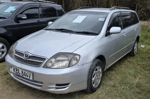 Toyota Corolla Fielder 2004 Silver
