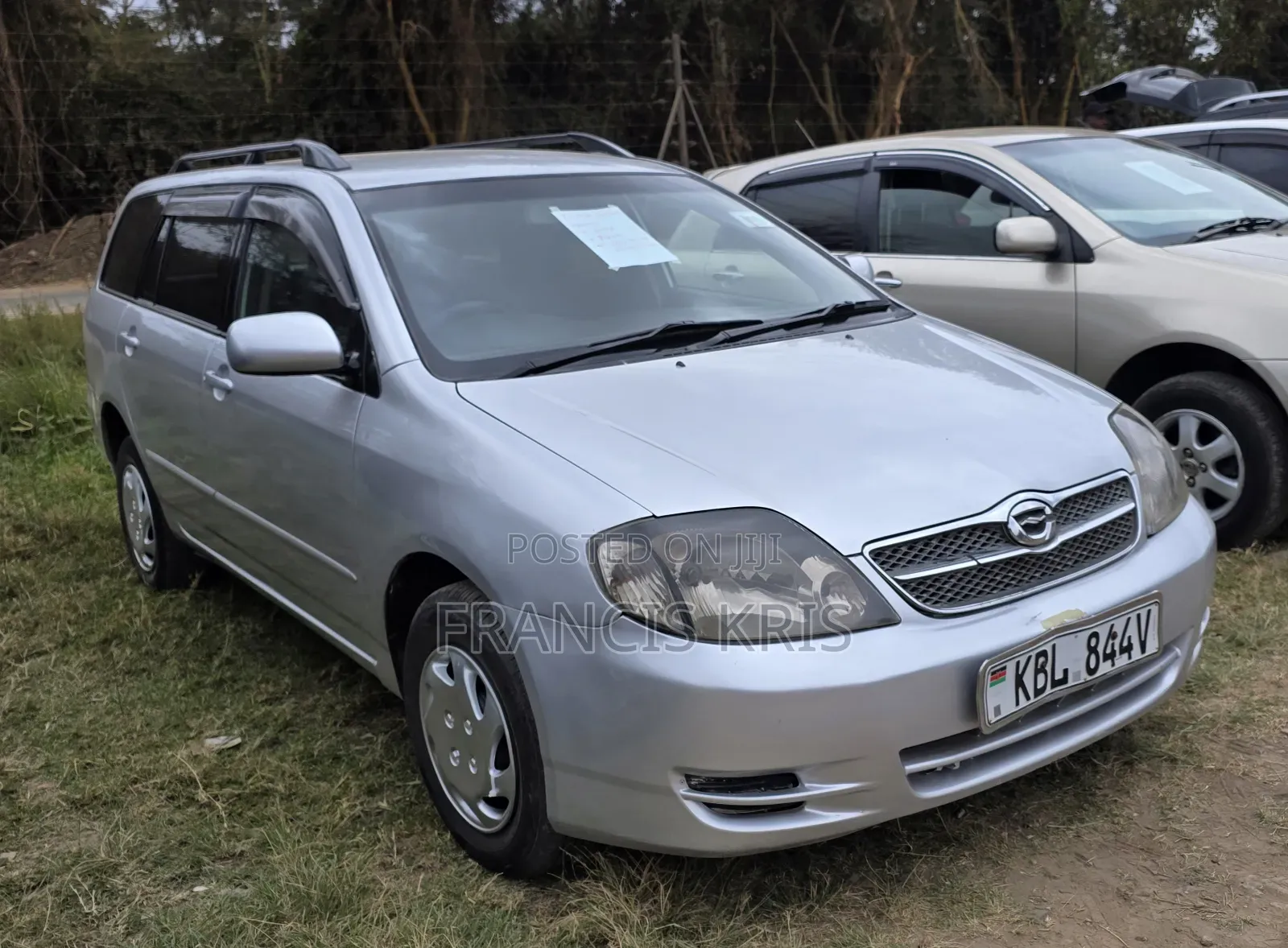 Toyota Corolla Fielder 2004 Silver