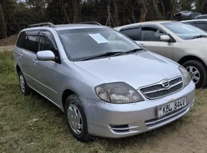 Toyota Corolla Fielder 2004 Silver