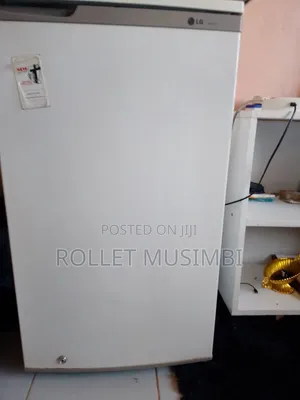 White LG Fridge