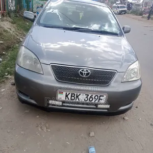 Toyota Allex 2002 Gray