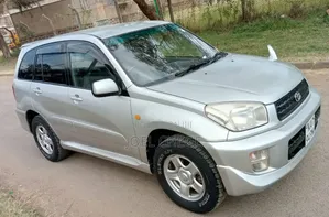 Toyota RAV4 2001 Silver