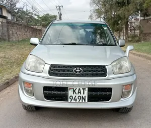 Toyota RAV4 2001 Silver