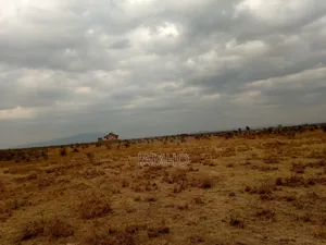 Mwalimu Farm Ruiru East