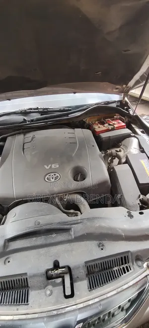 Toyota Mark X 2010 Gray