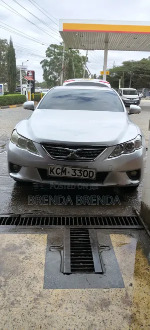 Toyota Mark X 2010 Gray