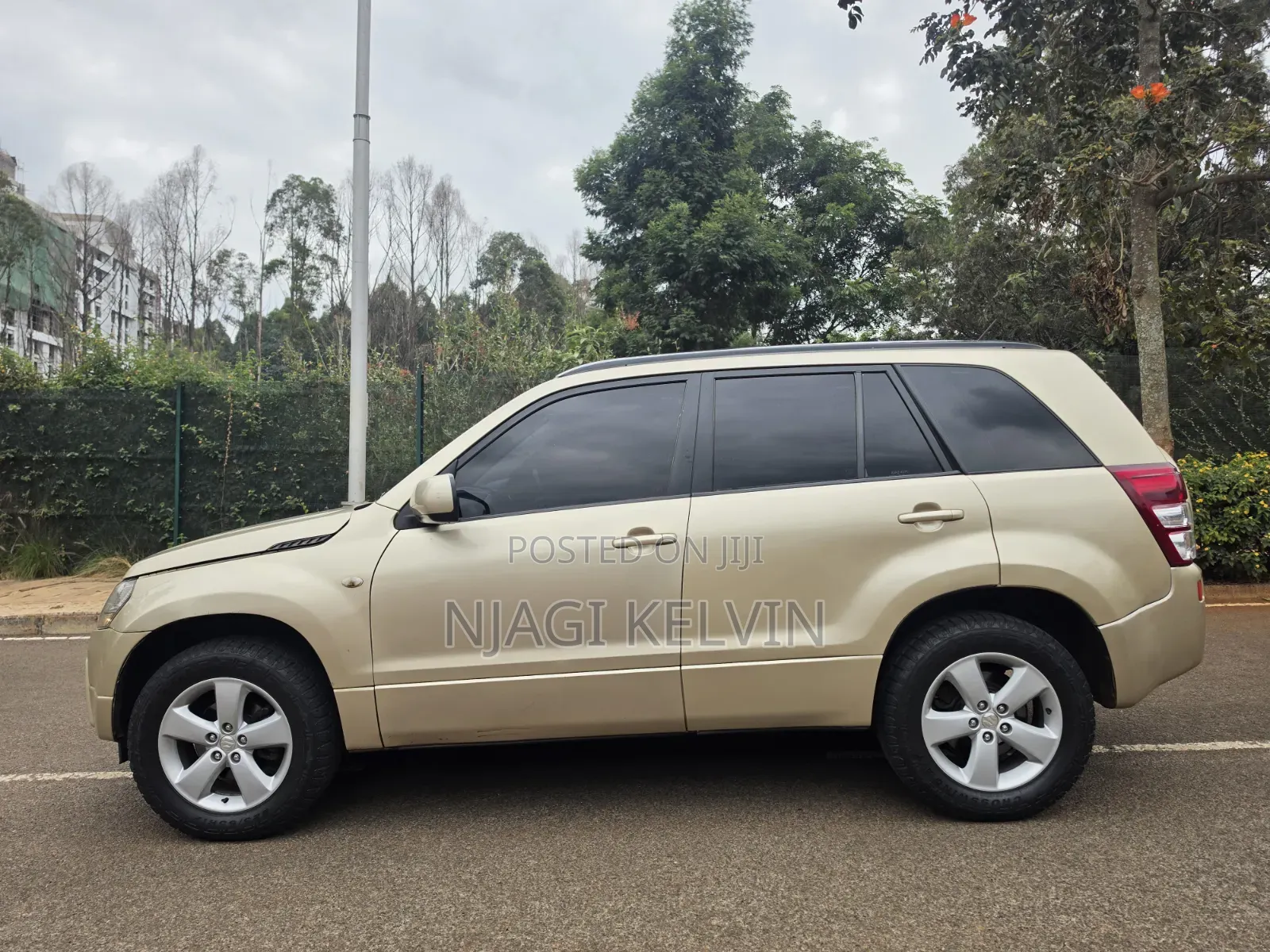 Suzuki Escudo 2008 Gold