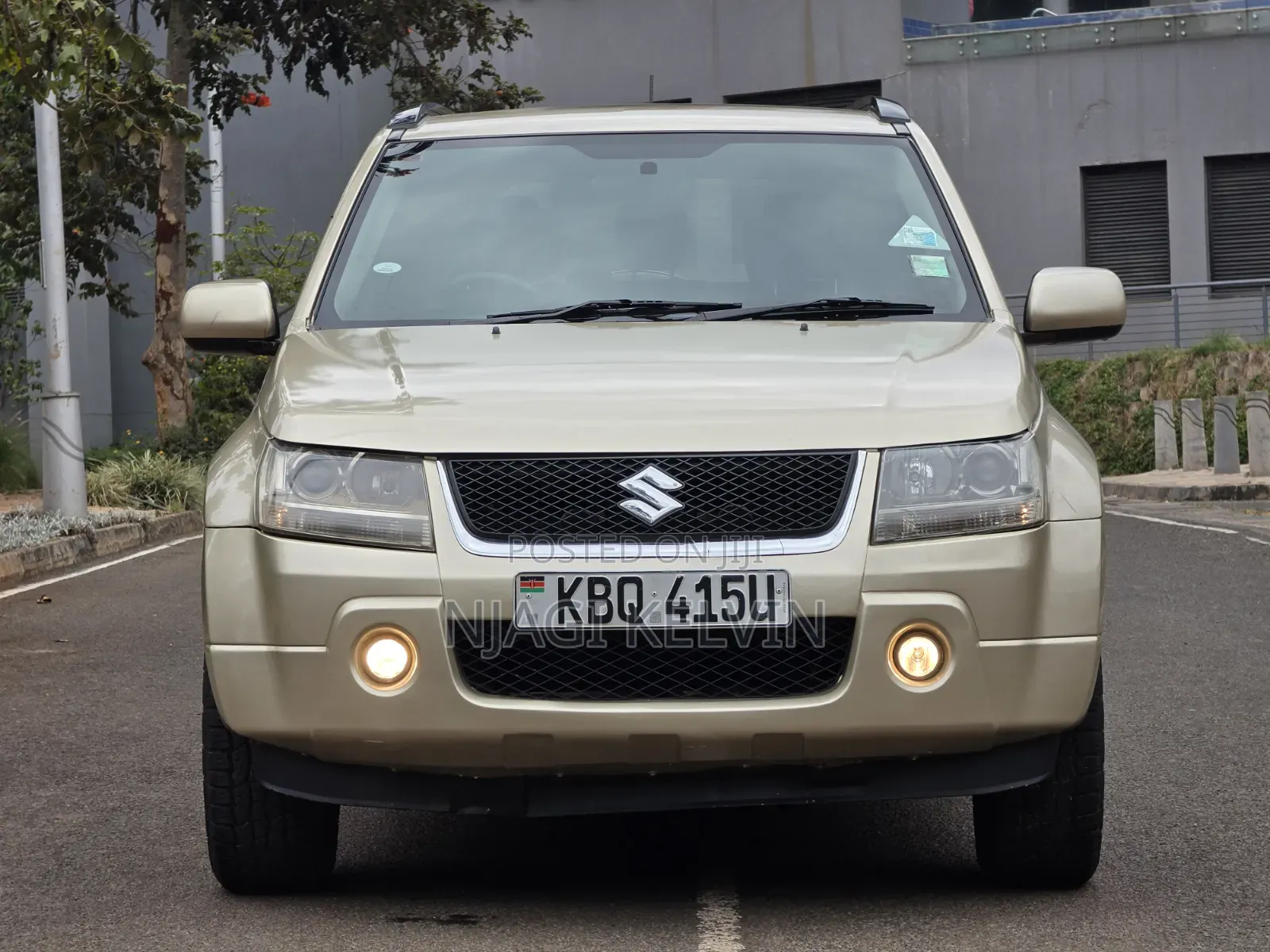 Suzuki Escudo 2008 Gold