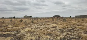 50x100 Plot for Sale in Mwalimu Farm