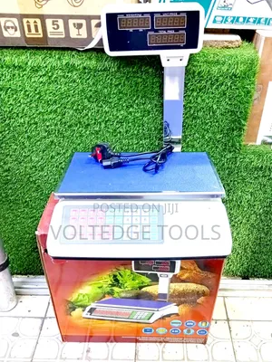 Efficient ACS40 Digital Scale