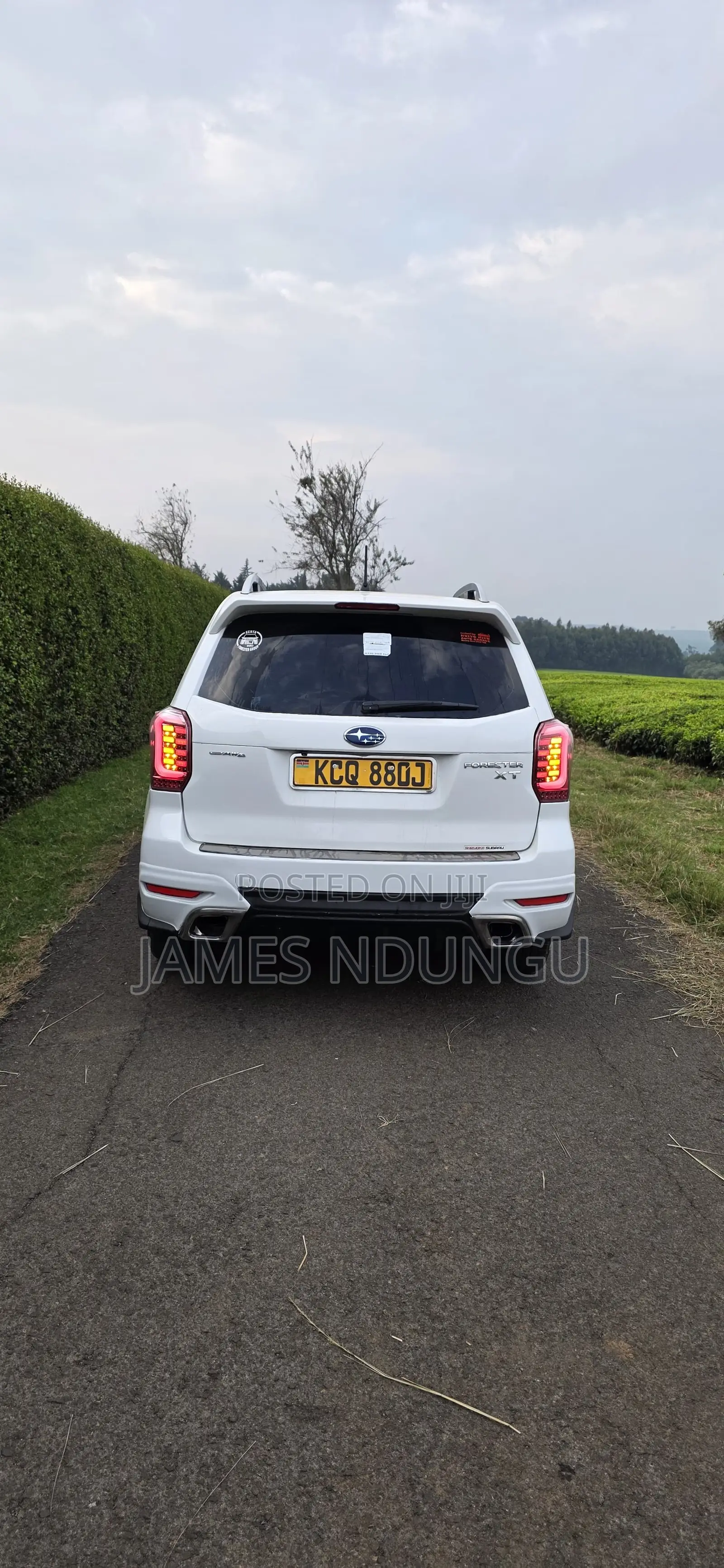Subaru Forester 2013 Pearl
