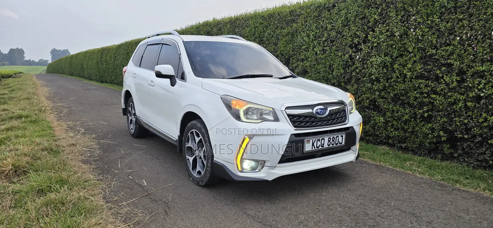 Subaru Forester 2013 Pearl