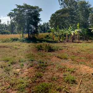 Prime Half Acre on Sale in Kirinyaga Nyangati kirimara.Ready to Build.