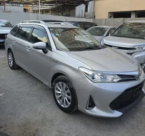 Toyota Corolla Fielder 2019 Silver