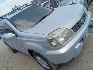 Nissan X-Trail 2005 Gray