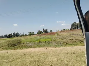 Prime 1 Acre Land for Sale – Touching Tarmac in Kirinyaga Kimbimbi
