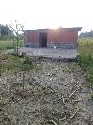 1⁄2 Acre Kwa Ngothi , Ndunyu Njeru