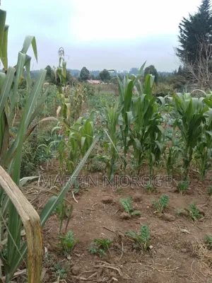 1 Acre Kwa Haraka