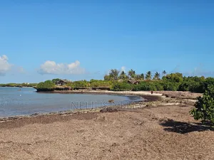 Beach Front Property Matsangoni Kilifi