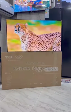 TCL 55 Inch Goggle TV With Netflix