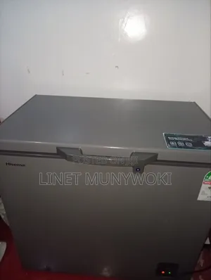 Hisense Freezer 196L 