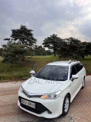 Toyota Corolla Fielder 2015 Pearl