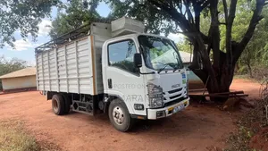 Isuzu Truck 2022 White