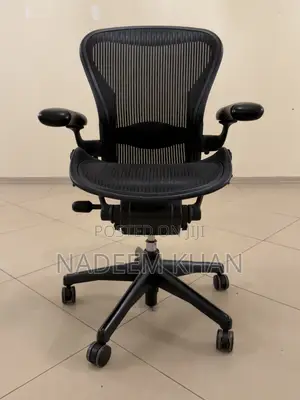 Herman Miller Aeron - Best Chair in the World