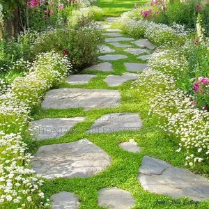 Landscaping and Gardening Services