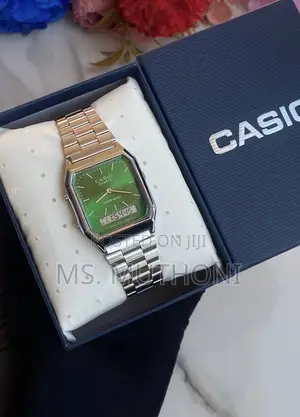 The Casio Vintage AQ-800