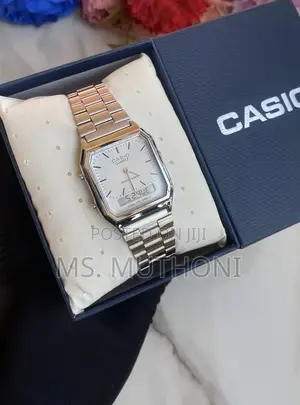 The Casio Vintage AQ-800