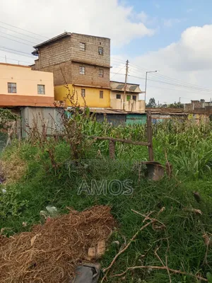 Prime Free Hold Town Plot Ideal for Apartment Kwambira Town Limuru