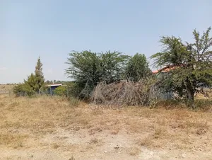 Empakasi Prime Plots - Ready to Develop